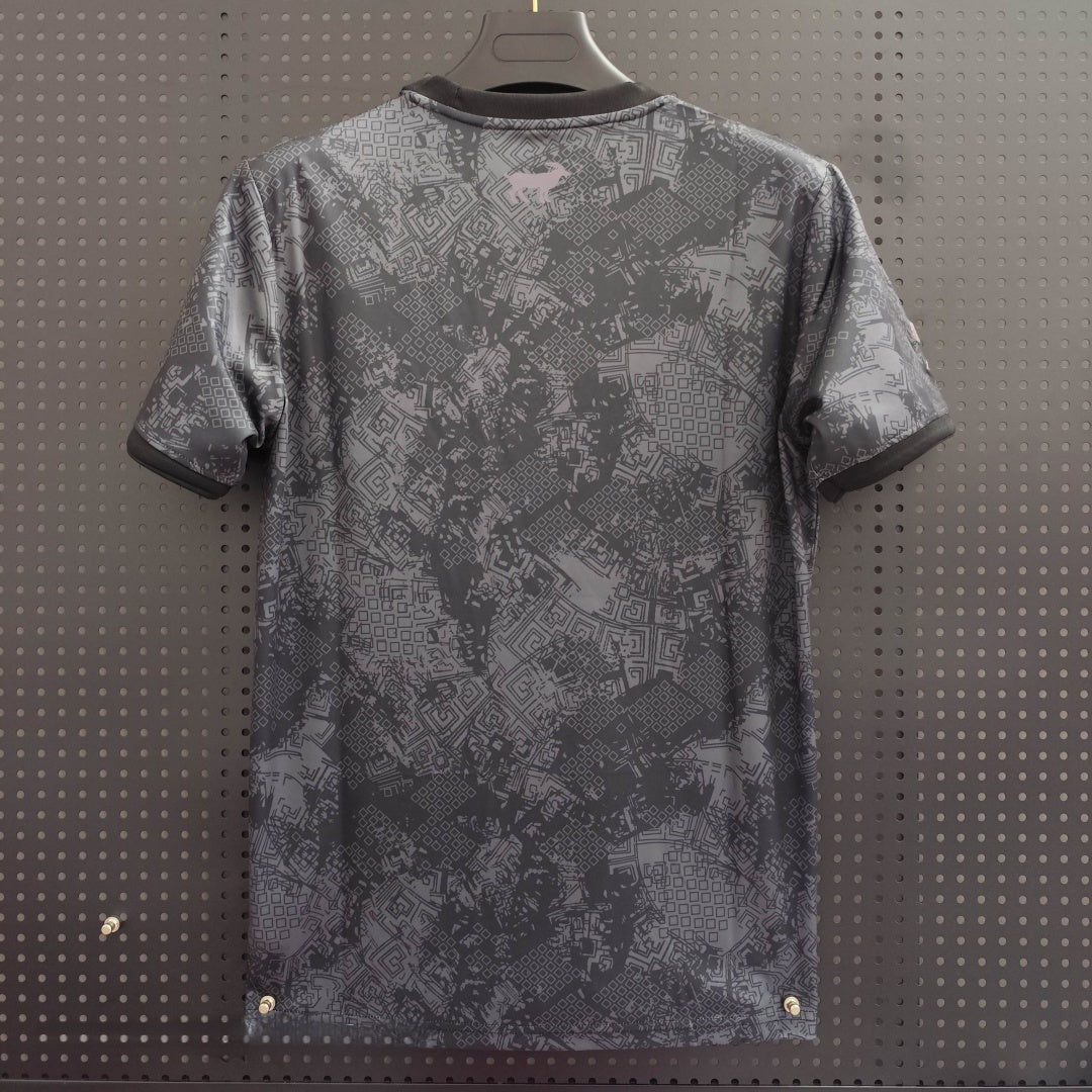Maillot 25/26 Argentine Spécial gray — vue 2