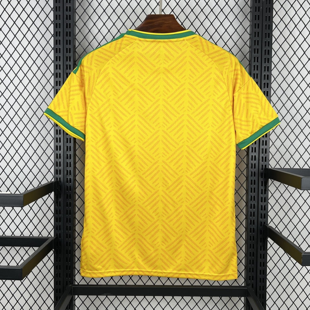 Maillot 2026 South Africa Domicile — vue 2