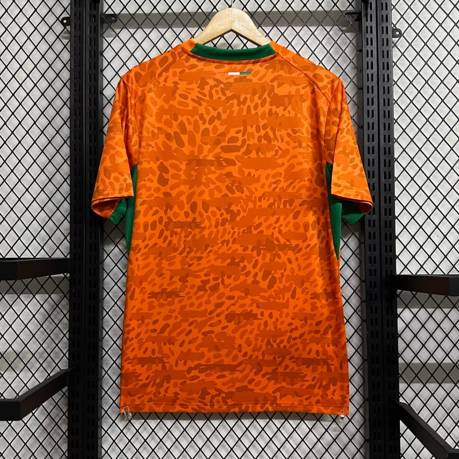Maillot 25/26 Côte d'Ivoire Spécial — vue 2