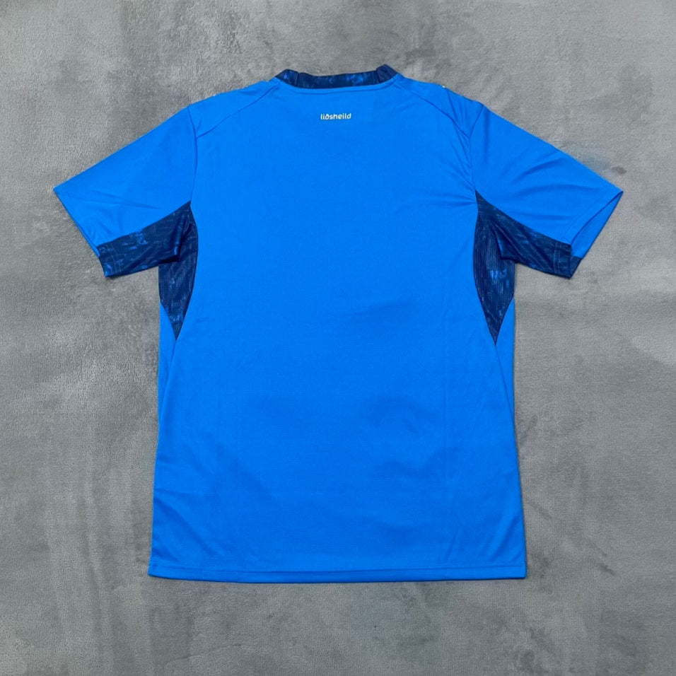 Maillot 25/26 Iceland Domicile — vue 4
