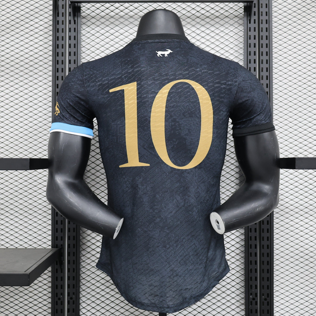 Argentine maillot Édition limitée version Player 2023 2024 — vue 2