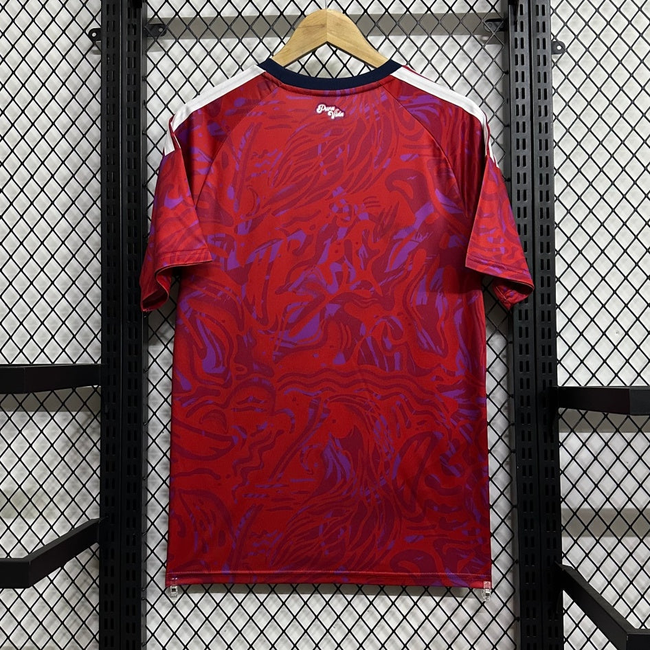 Maillot 25/26 Costa Rica Domicile — vue 2