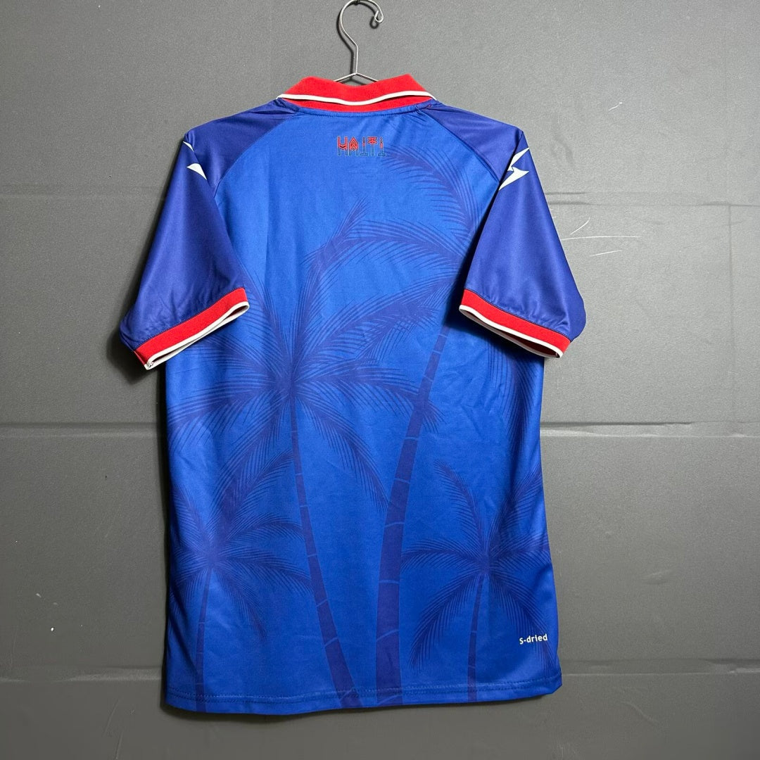 Maillot 2026 Haiti Domicile — vue 2