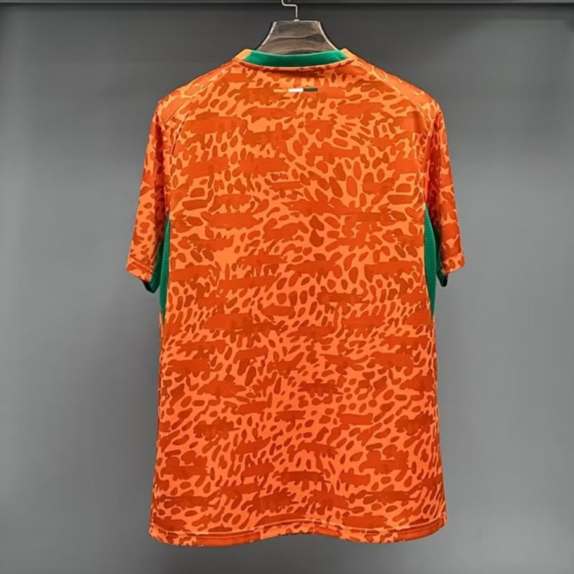 Maillot 25/26 Côte d'Ivoire Spécial — vue 4